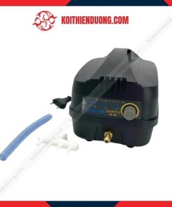 máy oxy tích điện hailea cp 20