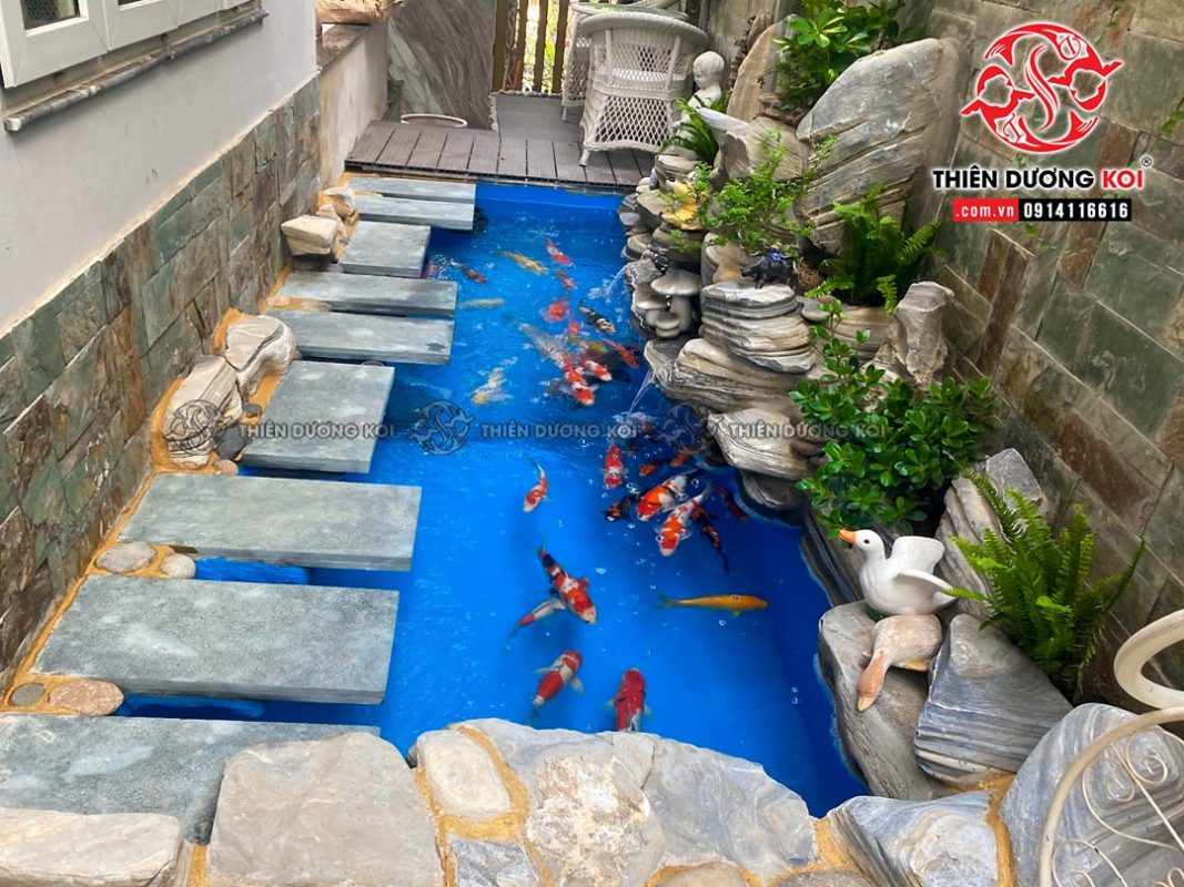 thi công hồ cá koi Bà Rịa Vũng Tàu