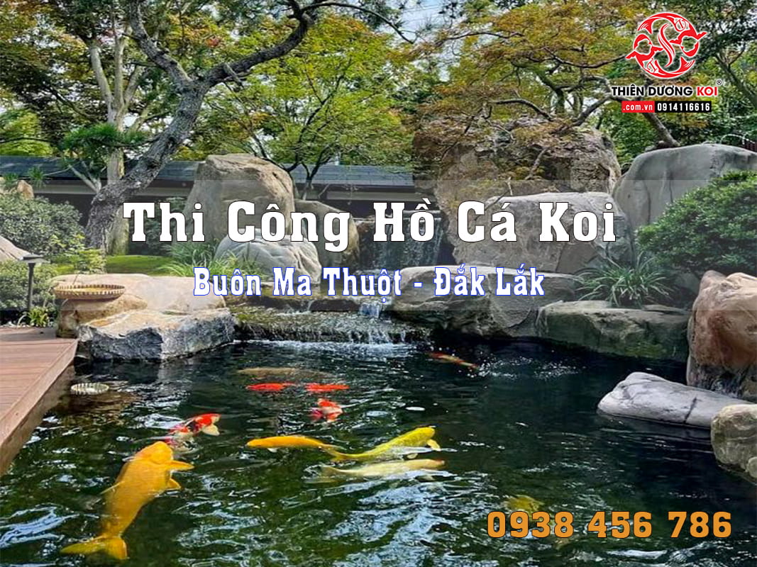 thi công hồ cá koi buôn ma thuột đắk lắk