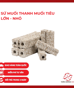 SỨ THANH MUỐI TIÊU LỚN – NHỎ