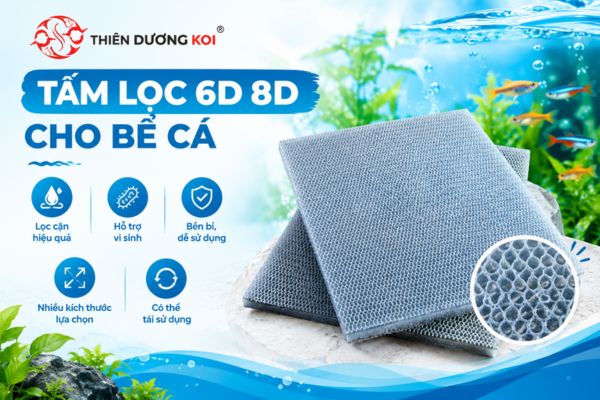Tấm lọc 6D 8D cho bể có nhiều lợi ích cho hồ nước của bạn