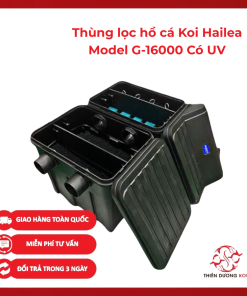 Thùng lọc hồ cá Koi Hailea G-16000 Có UV – Giải pháp lọc nước hồ cá Koi