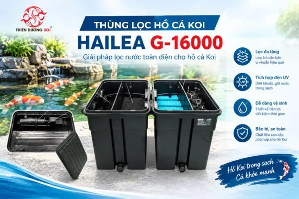 Sử dụng thùng lọc hồ cá Koi Hailea G-16000 có nhiều ưu điểm tốt